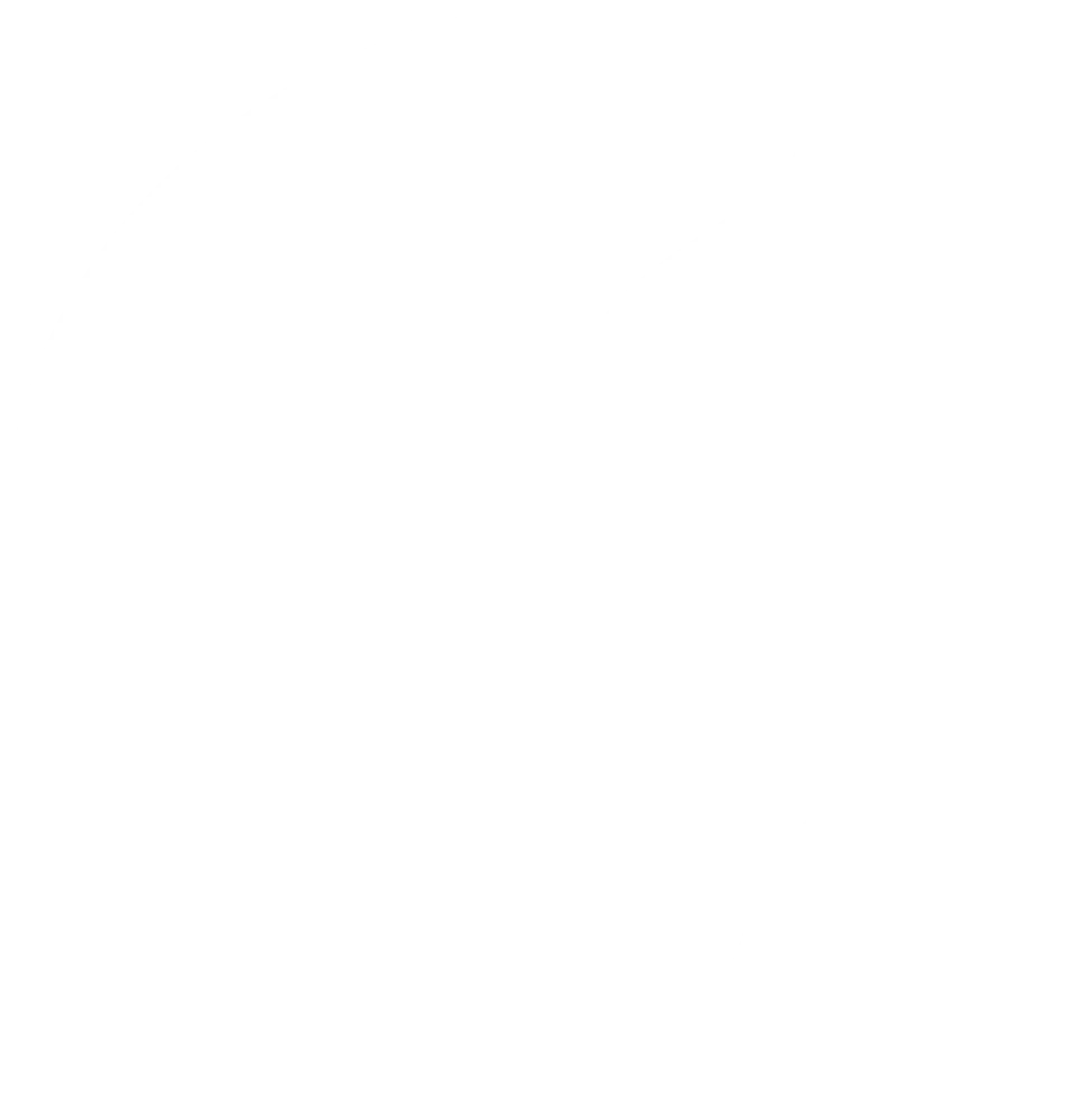 Cameleon Agency logo